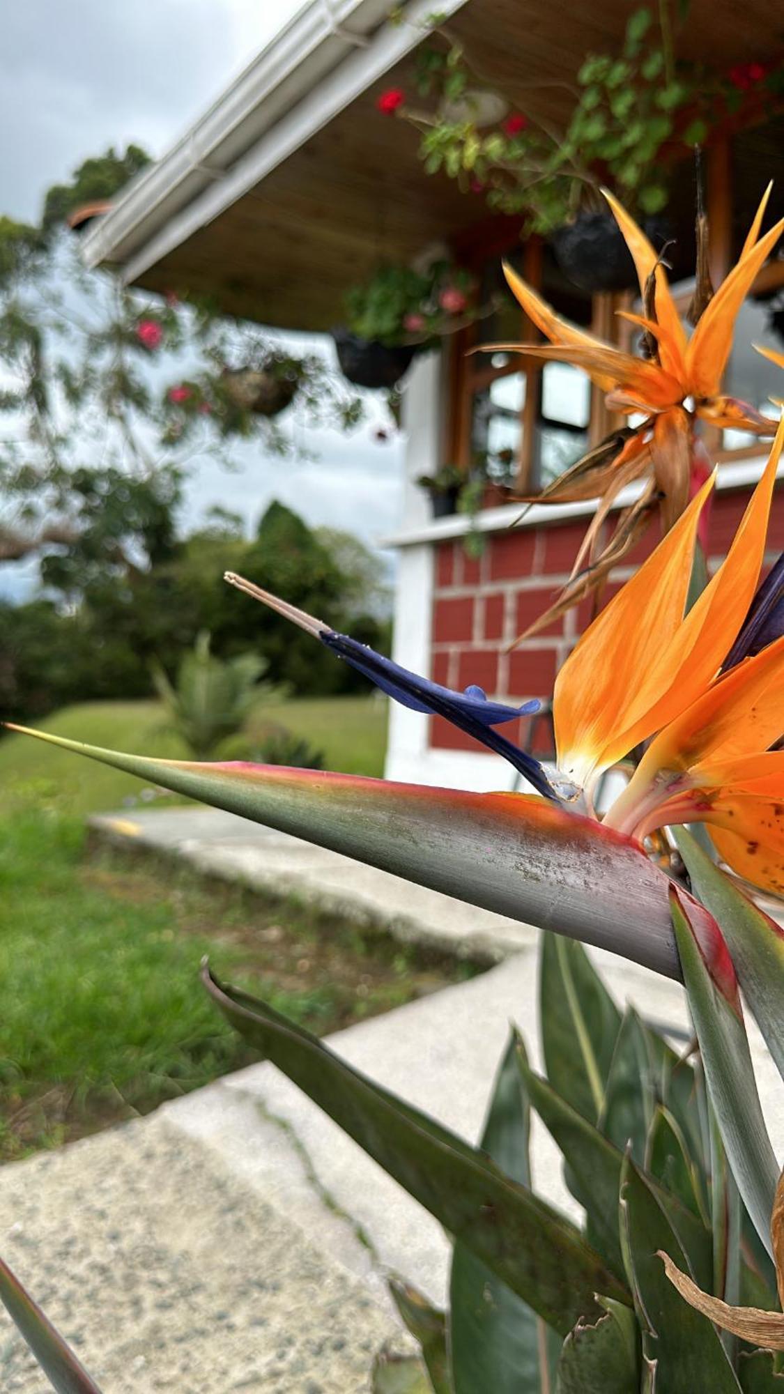 Finca La Toscana El Manzano  Екстер'єр фото
